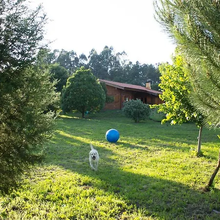 게스트하우스 Beewood Fiais