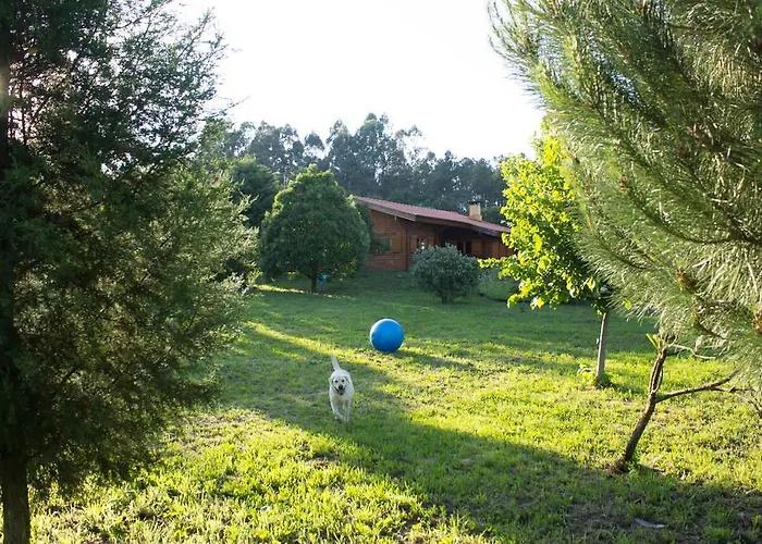 Guest house Beewood Fiais